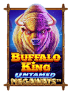 ทาง เข้า joker spy: เส้นทางสู่ความสนุกและโอกาสชนะ