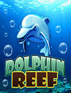 ทำความรู้จักกับ soft slot เกมทำเงินจาก NetEnt