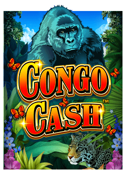 แทง ง บอล กับเกมสล็อต PG สนุกไม่รู้จบ